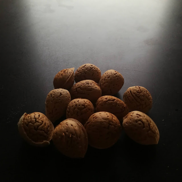 PELLUCAIRE  D’ESSÈNCIES